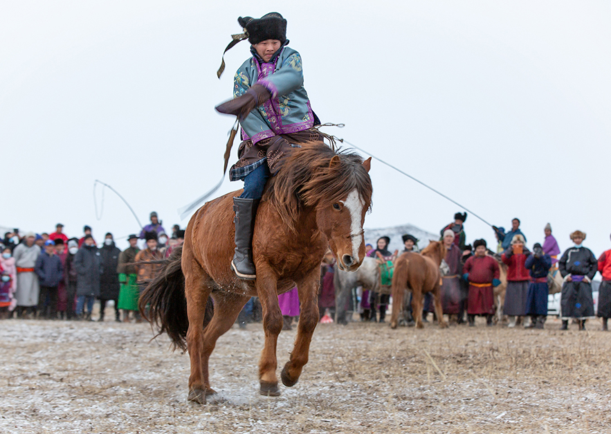 horse taming in mongolia 