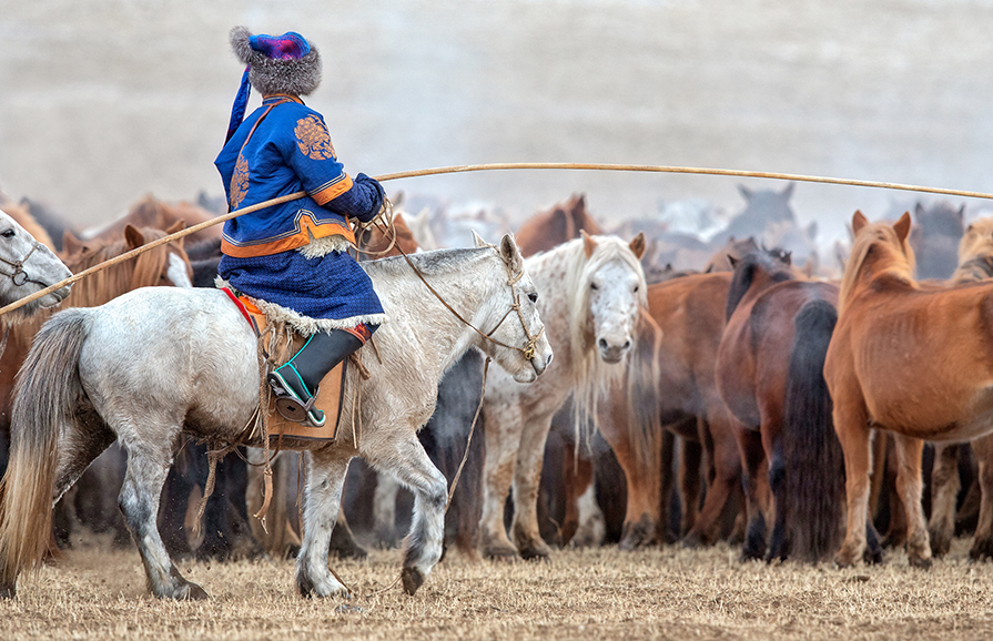 mongolian horses and horseman photo