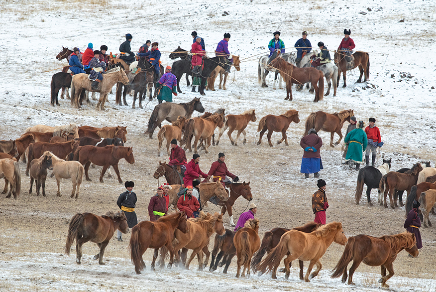 mongolian horse culture photos